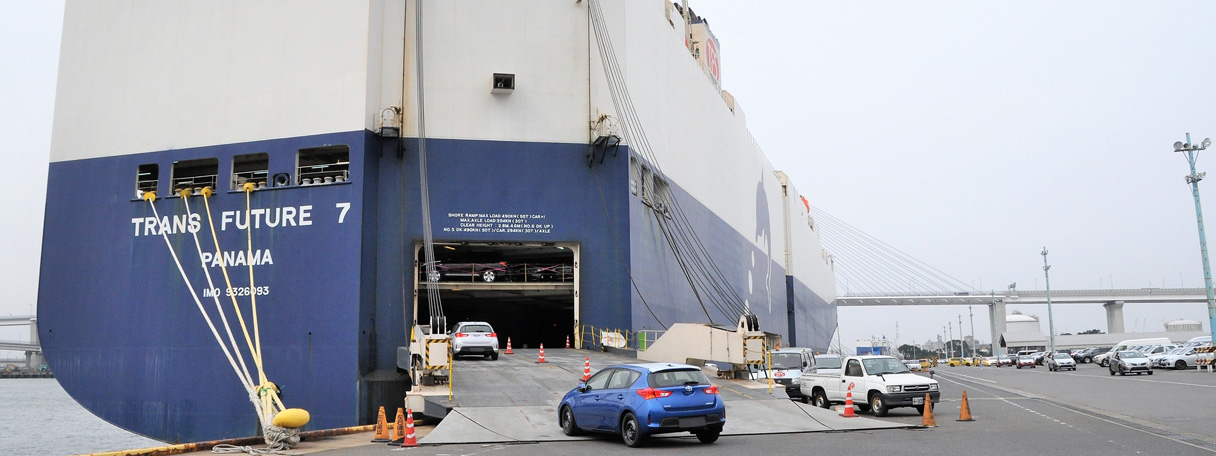 刹那ページ　納期10月上旬 楽天市場】【即納】韓国生地 ダブルガーゼ ブーケ 【50センチ
