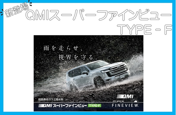 QMI スーパーファインビュー FF 12個セット+type F QMI スーパーファインビュー FF 12個セット+type F