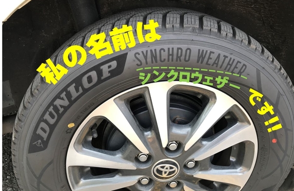 こんなのあったら・・・ありました! こんなのあったら・・・ありました!