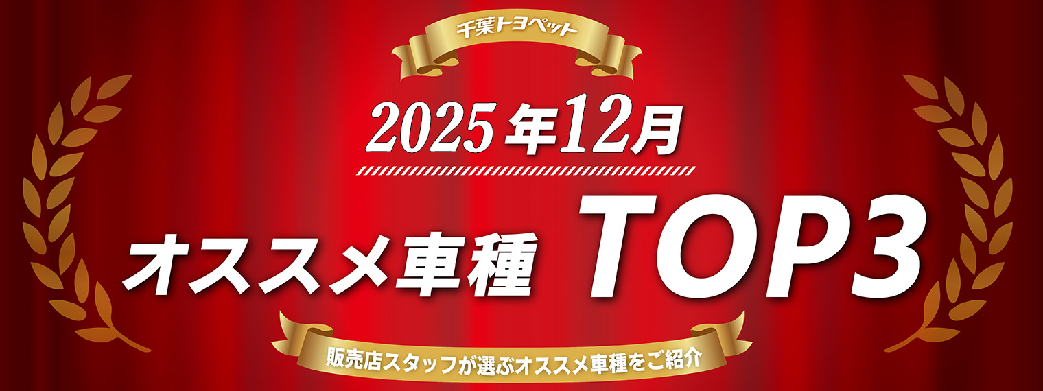 PC用_人気3車種_トップバナー2025年12月