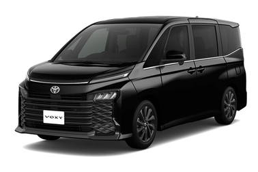 ニュートラルブラック〈229〉フロントサイド